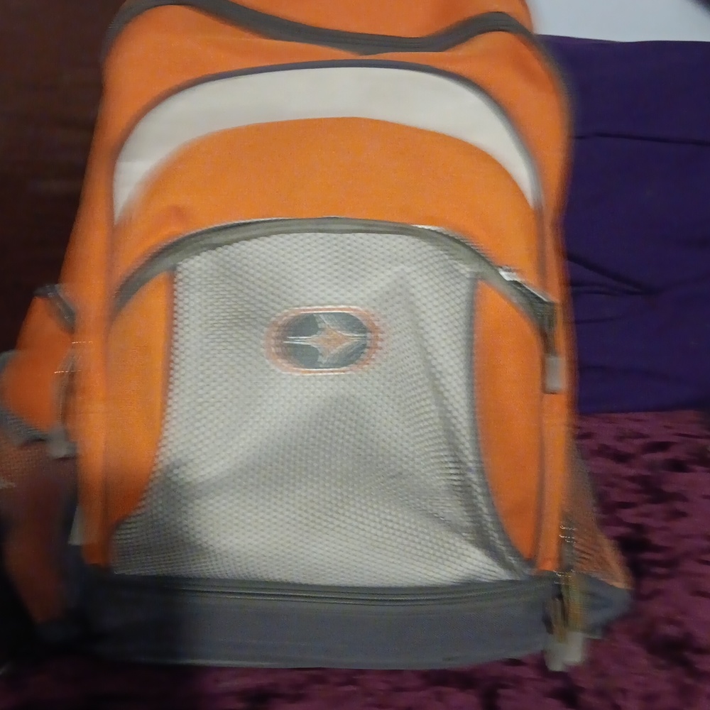 Backpack - Picture 2 of 4